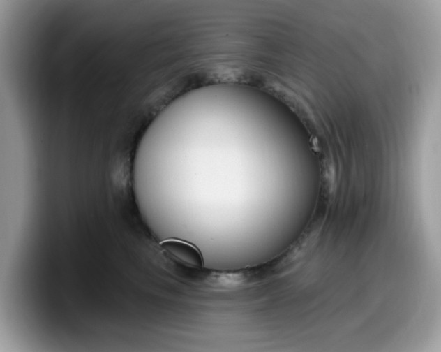 X0000099580665200805301600