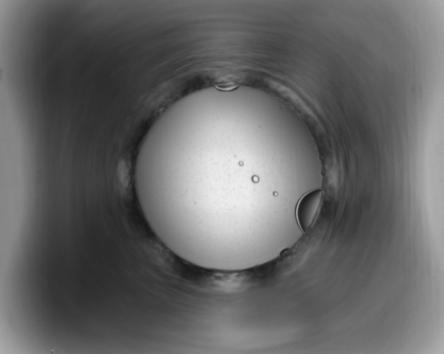 X0000099580667200805301600