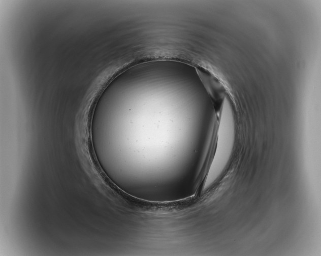 X0000099580673200805301600