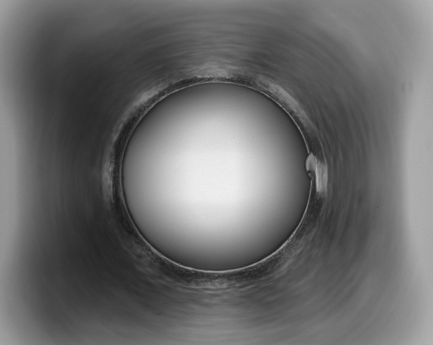 X0000099580675200805301600