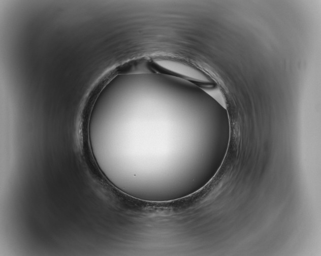 X0000099580676200805301600