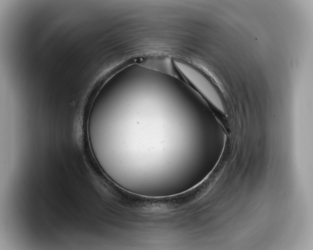 X0000099580677200805301600