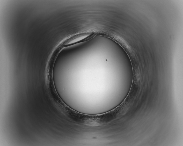 X0000099580680200805301600