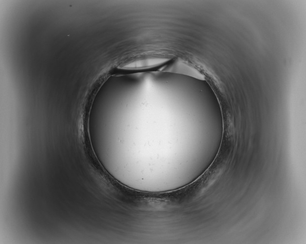 X0000099580681200805301600