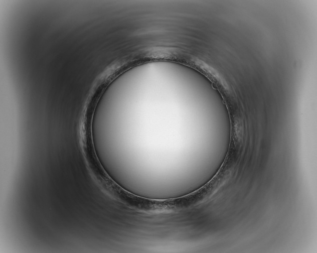 X0000099580682200805301600