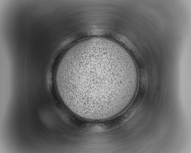 X0000099580683200805301600