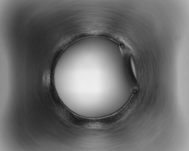 X0000099580685200805301559