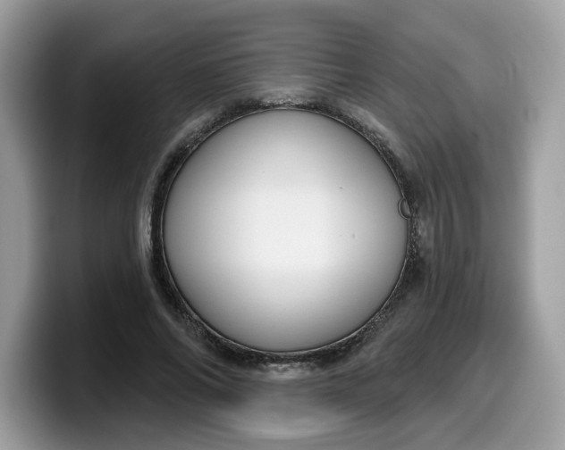 X0000099580686200805301559