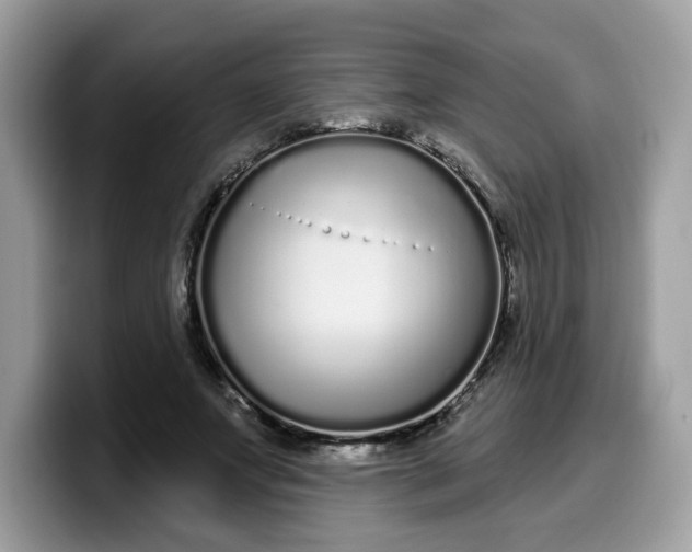 X0000099580687200805301559