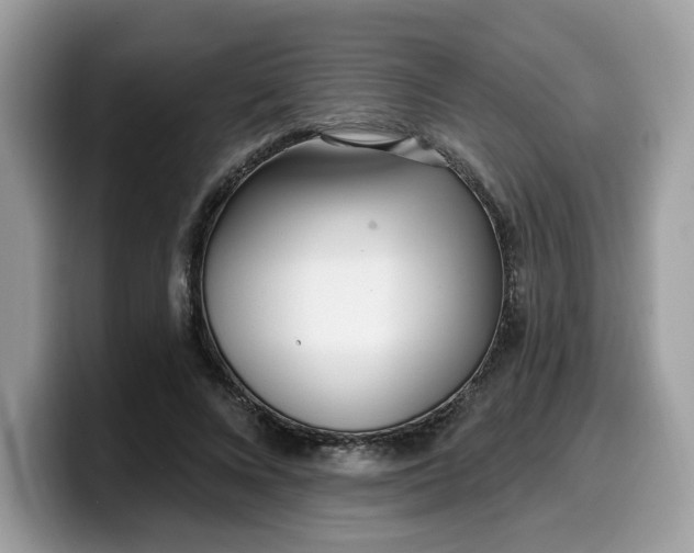 X0000099580688200805301559