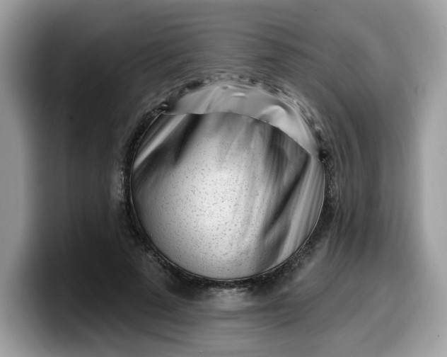 X0000099580689200805301559