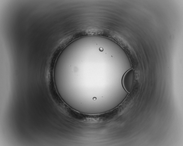 X0000099580690200805301559