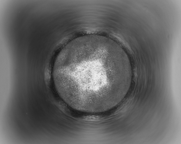 X0000099580691200805301559