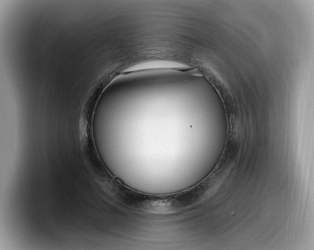 X0000099580692200805301559