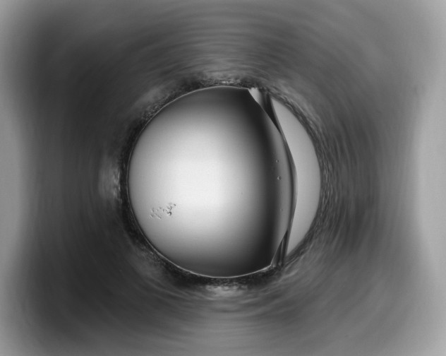 X0000099580693200805301559