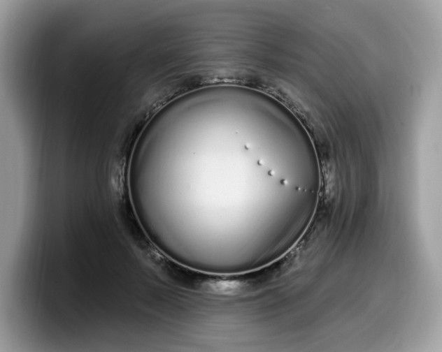 X0000099580695200805301559