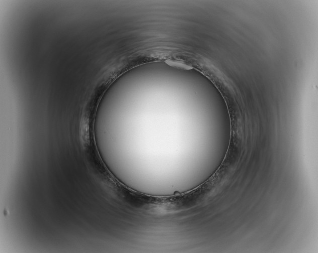 X0000099580696200805301559