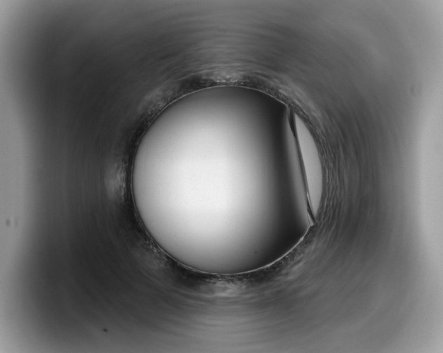 X0000099580697200805301559