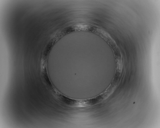 X0000099580701200805301559