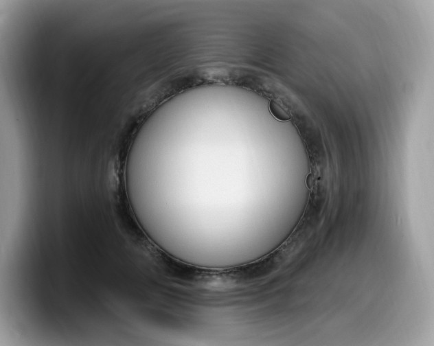 X0000099580702200805301559