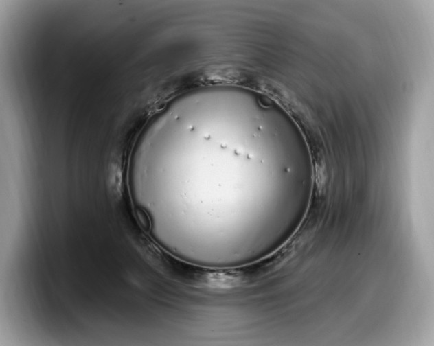 X0000099580703200805301559