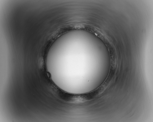 X0000099580704200805301559