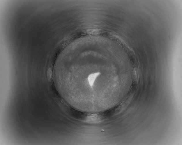 X0000099580705200805301559