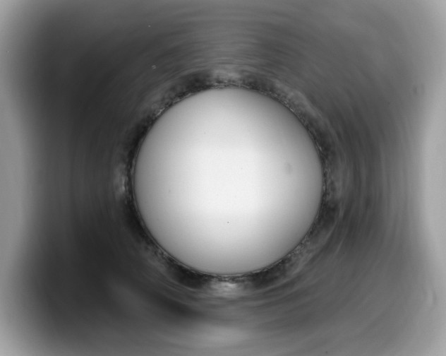 X0000099580706200805301559