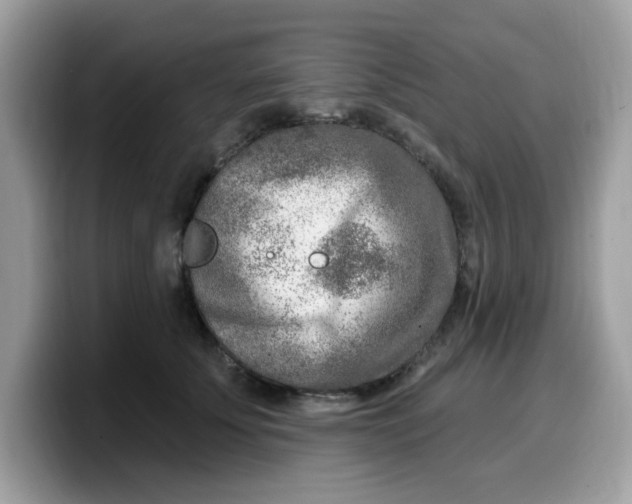 X0000099580707200805301559