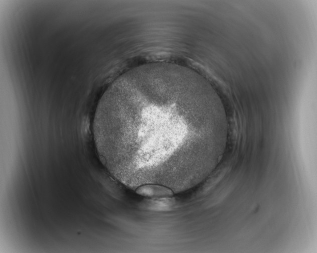 X0000099580711200805301559