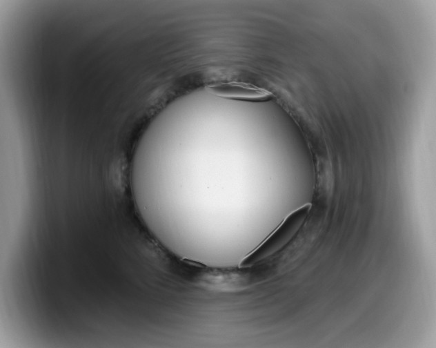 X0000099580712200805301559