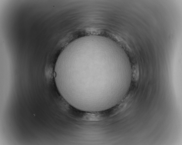 X0000099580713200805301559