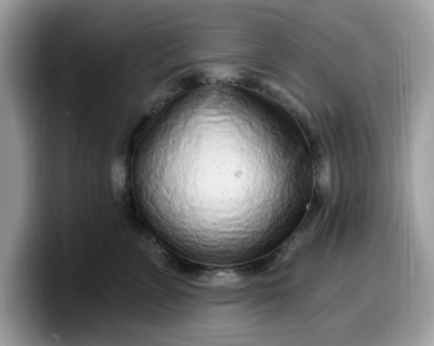 X0000099580715200805301559