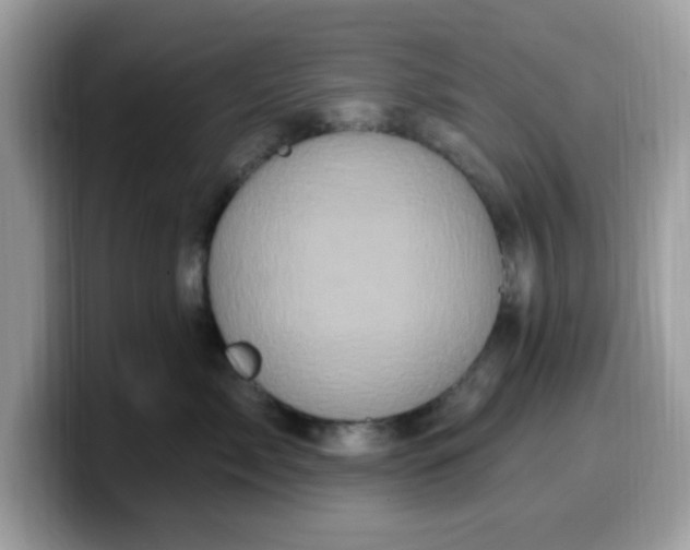 X0000099580717200805301559