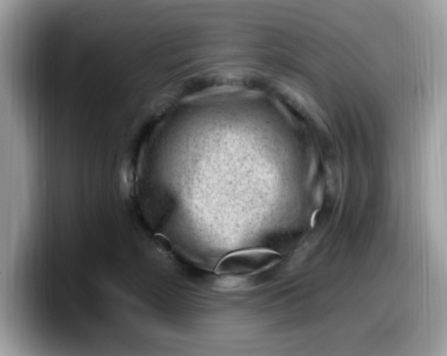 X0000099580718200805301559