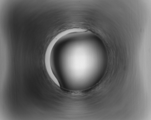 X0000099580720200805301559