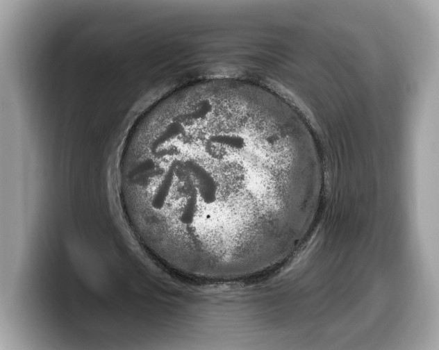 X0000099580721200805301558