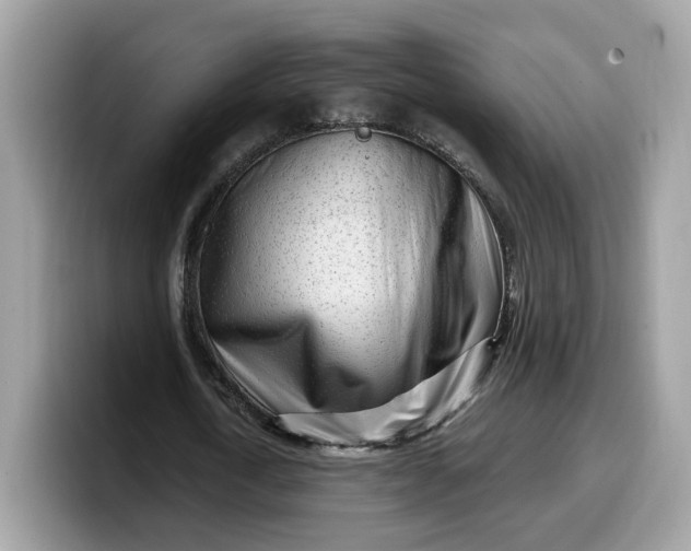 X0000099580722200805301558