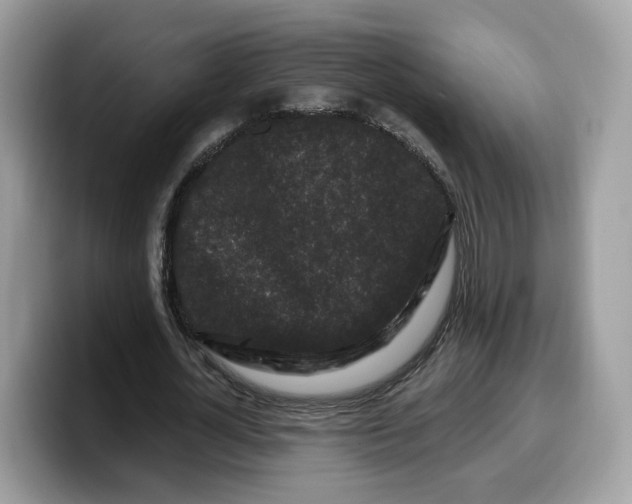 X0000099580724200805301559