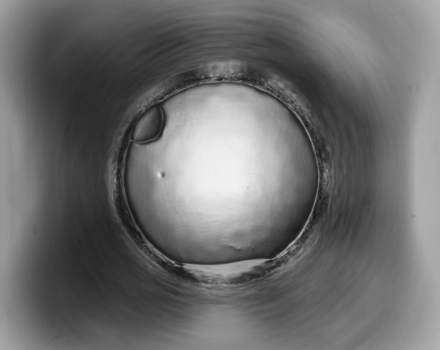 X0000099580725200805301559