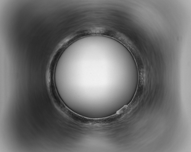 X0000099580726200805301559