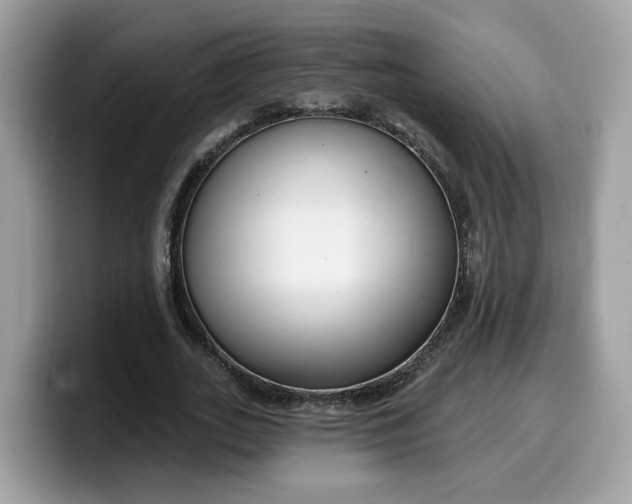 X0000099580727200805301559