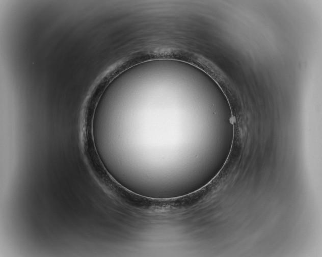 X0000099580728200805301559