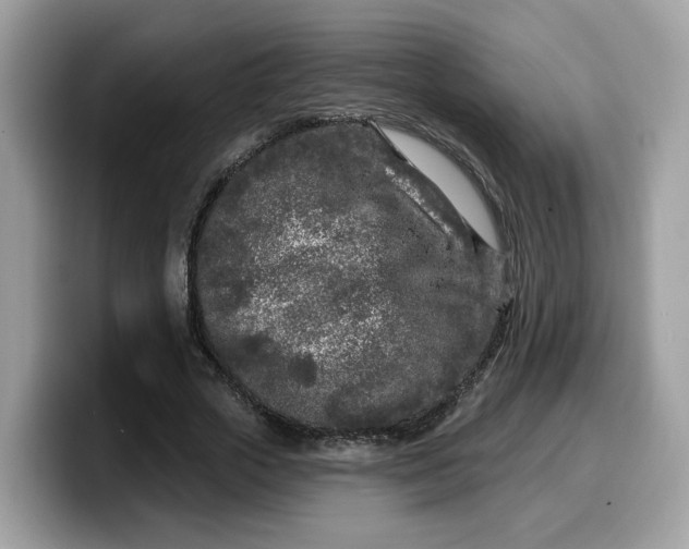 X0000099580729200805301559