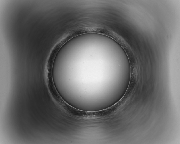 X0000099580730200805301559