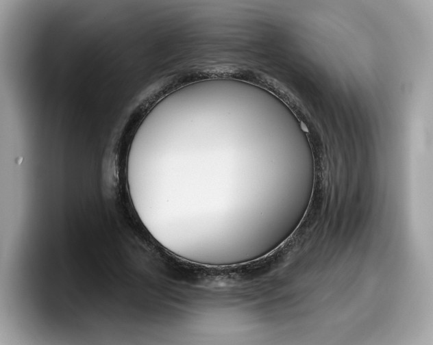 X0000099580731200805301559