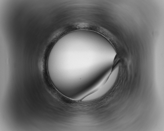 X0000099580732200805301559