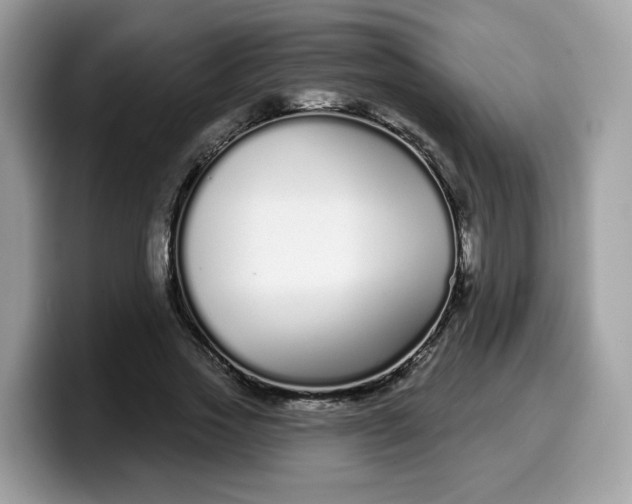 X0000099580733200805301559