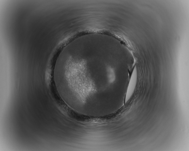 X0000099580736200805301559