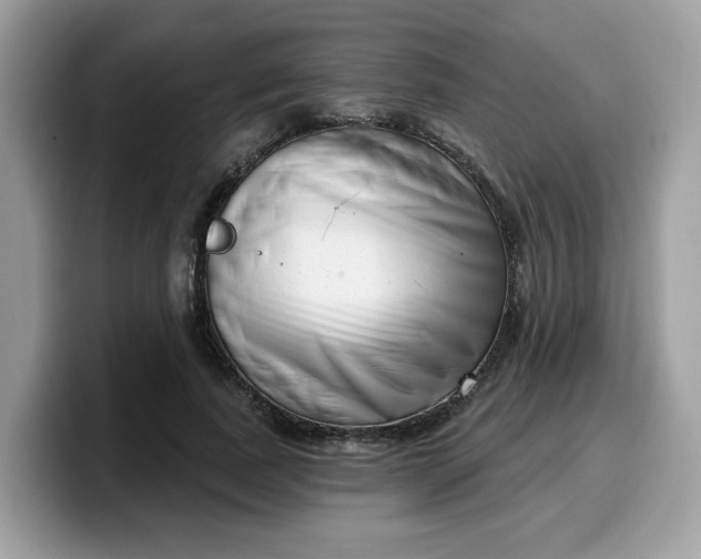 X0000099580739200805301559